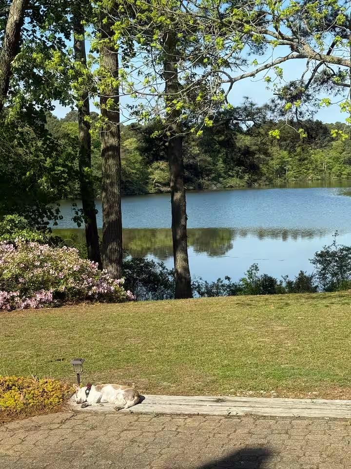2483 Pond Drain Dr 13
