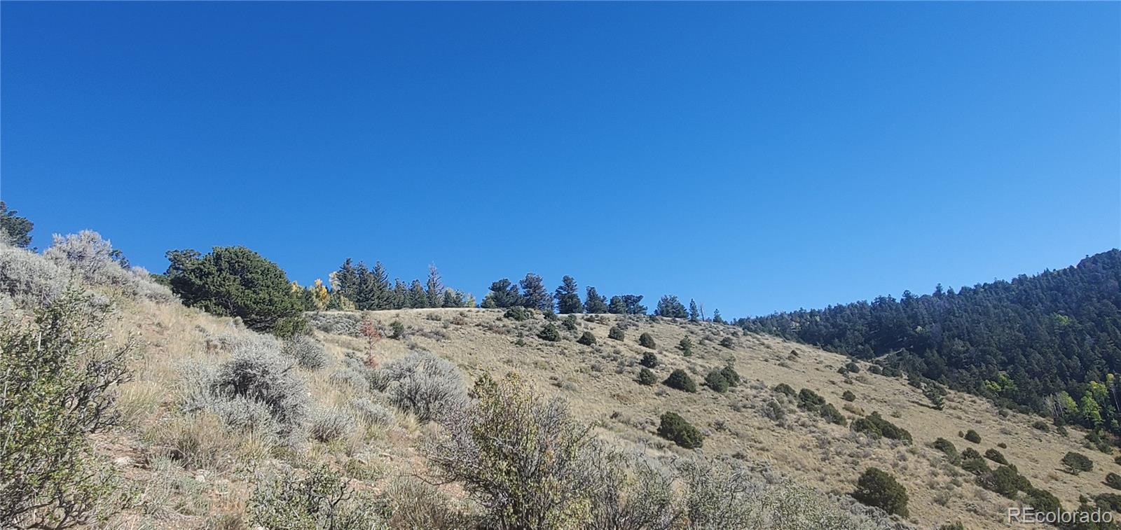 Lot 5820 Covington Road