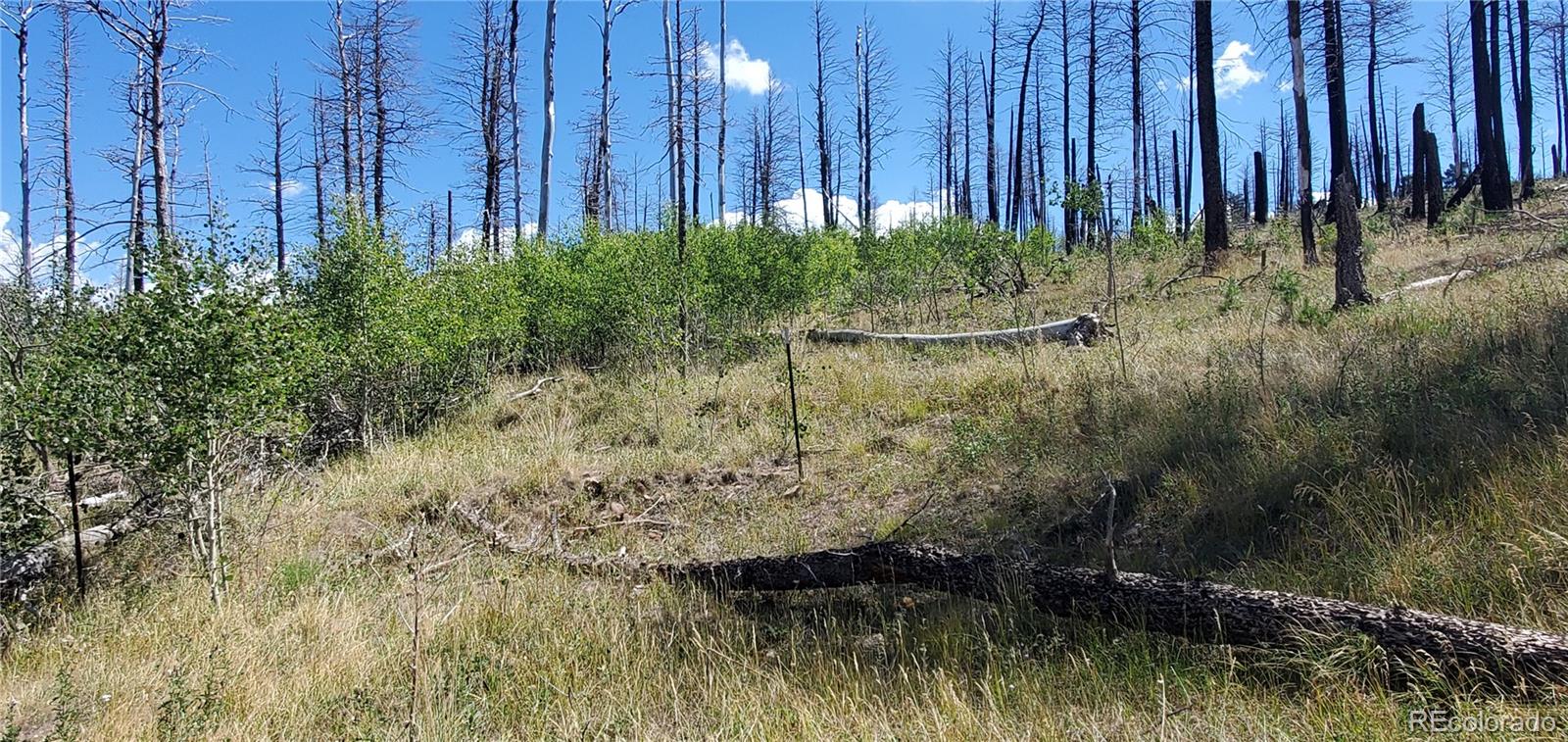 Lot 1064 Reed Lane