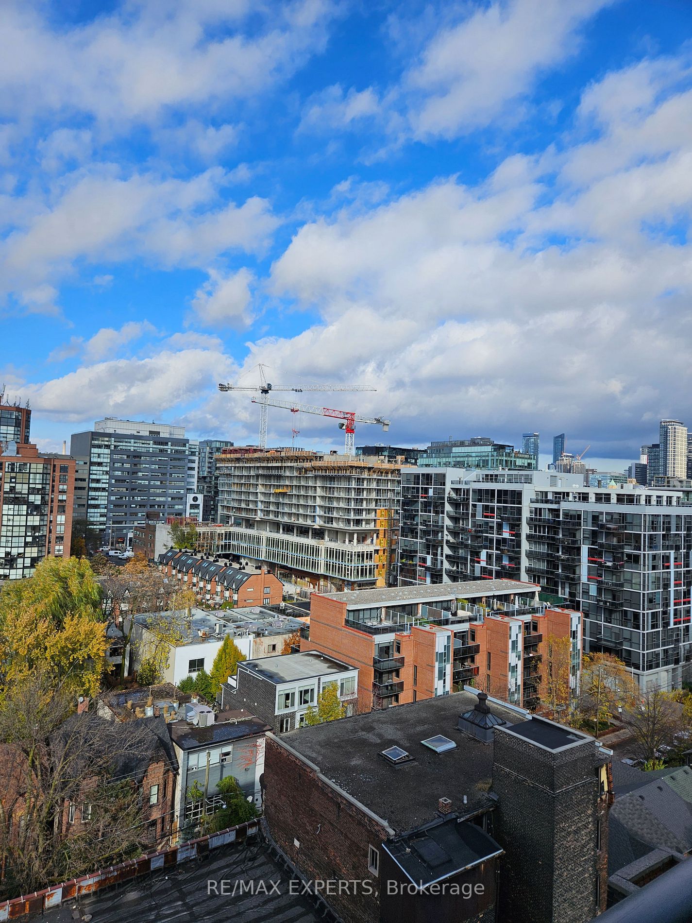 9 Tecumseth St 1115