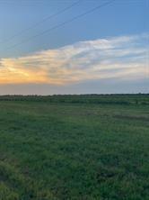 Over 36 acres of agricultural land  in the desirable Prairieland ISD. Great mass of land  is perfect for farming, ranching, or building your dream home. The entire property is securely fenced with a double swing gate and stocked pond, making it ideal for cattle and livestock.  It is hay producing with 250-300 rolls annually. Whether you’re looking to expand your agricultural endeavors, start a new project, or simply enjoy a private retreat, this property offers endless possibilities. The blend of natural beauty and practicality makes it an excellent investment. Don’t miss this rare opportunity to own a piece of paradise. Electric and water access.