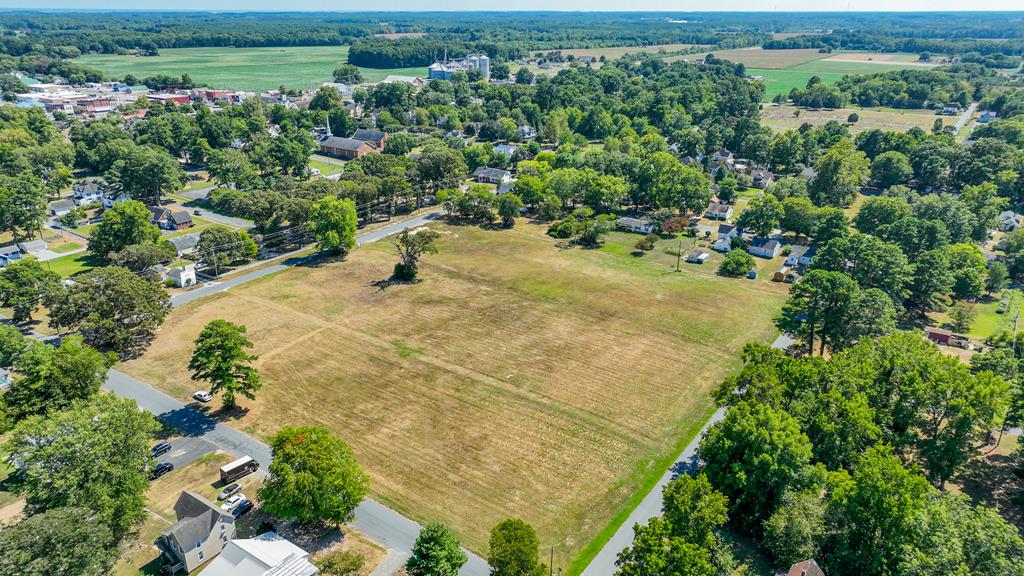 Unique Investment and remarkable opportunity to develop a small community in Parksley! Check out this beautiful eighteen (18) parcel property in the middle of the Victorian Town of Parksley. This is the former site of the Parksley Middle School and conveniently located steps away from the park, brand new Eastern Shore Public Library, downtown commercial shops and restaurants. This would be a fabulous location for multiple new homes, townhomes, low income housing, and more! The Town has public water hook up available and the possibility of HRSD sewer in the future. Located 10 minutes from Riverside Shore Memorial Hospital and 25 minutes to Wallops Island. Contact the agent for more details!