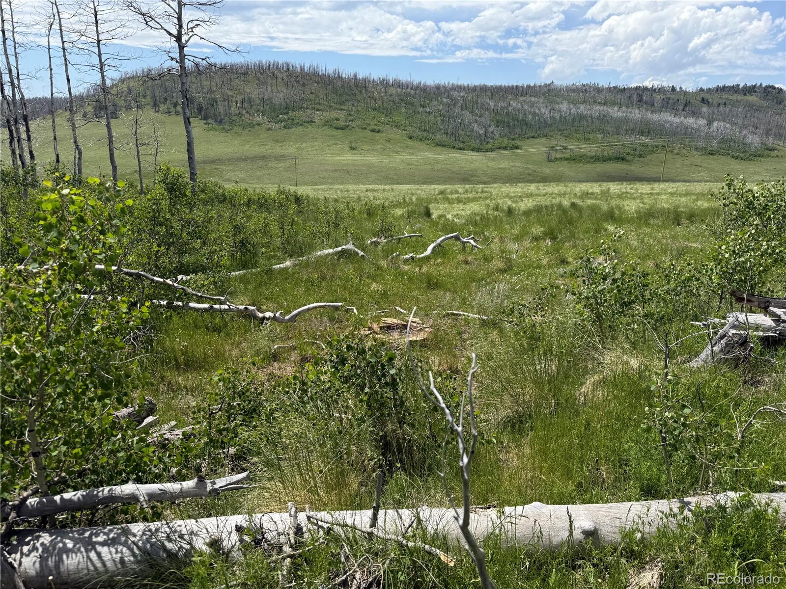 Lot 428 Powers Road