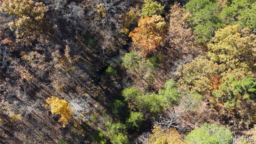 10256 Christina Trail