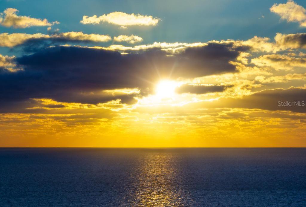 1007 Gulf Drive N 208