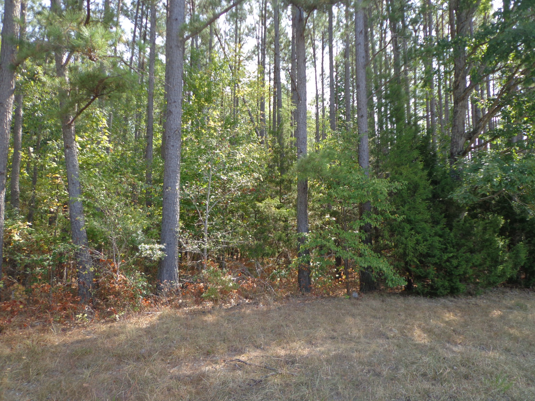 0 Tennessee Ridge Road