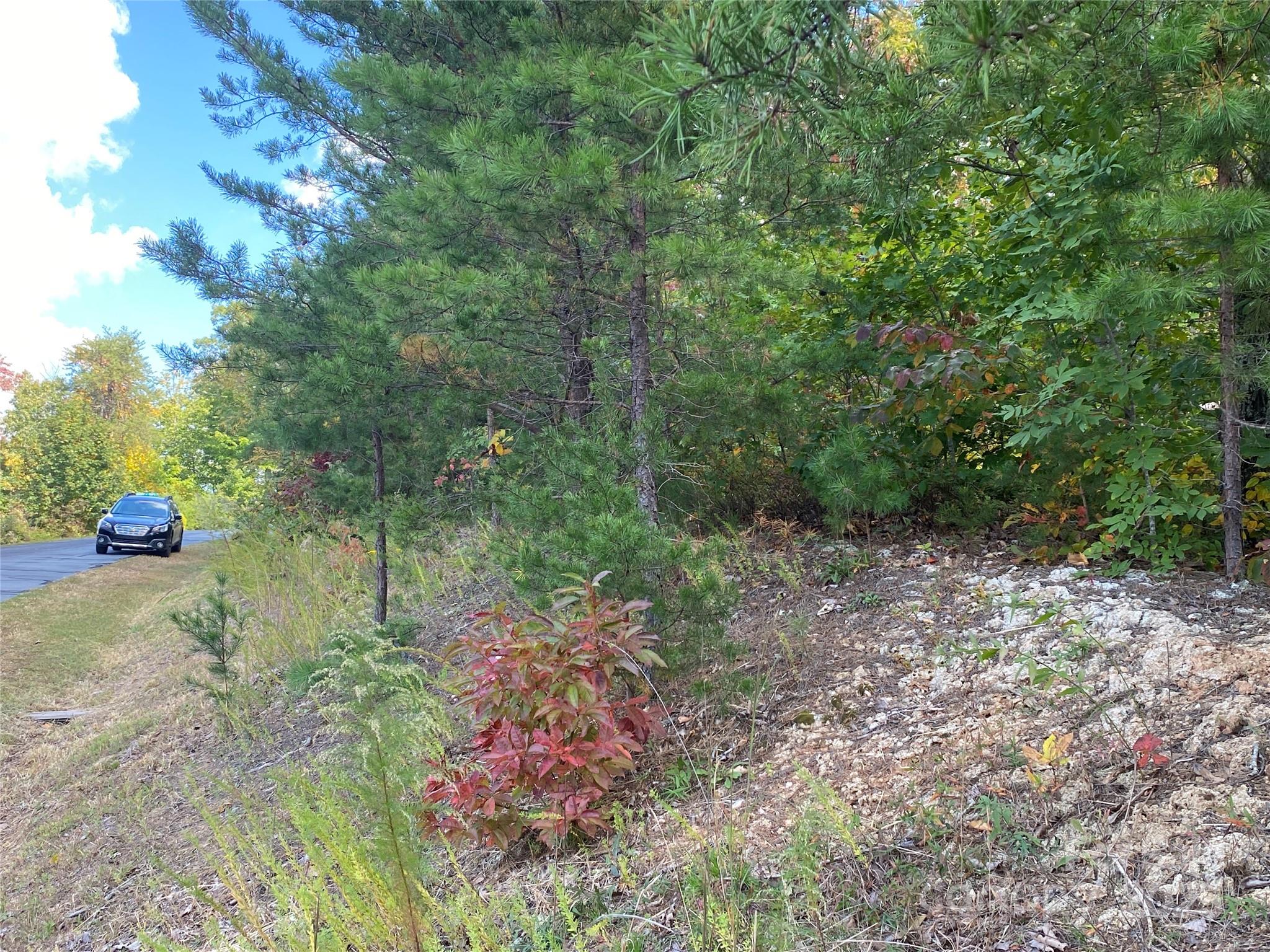 61 Scenic Vista Drive 238