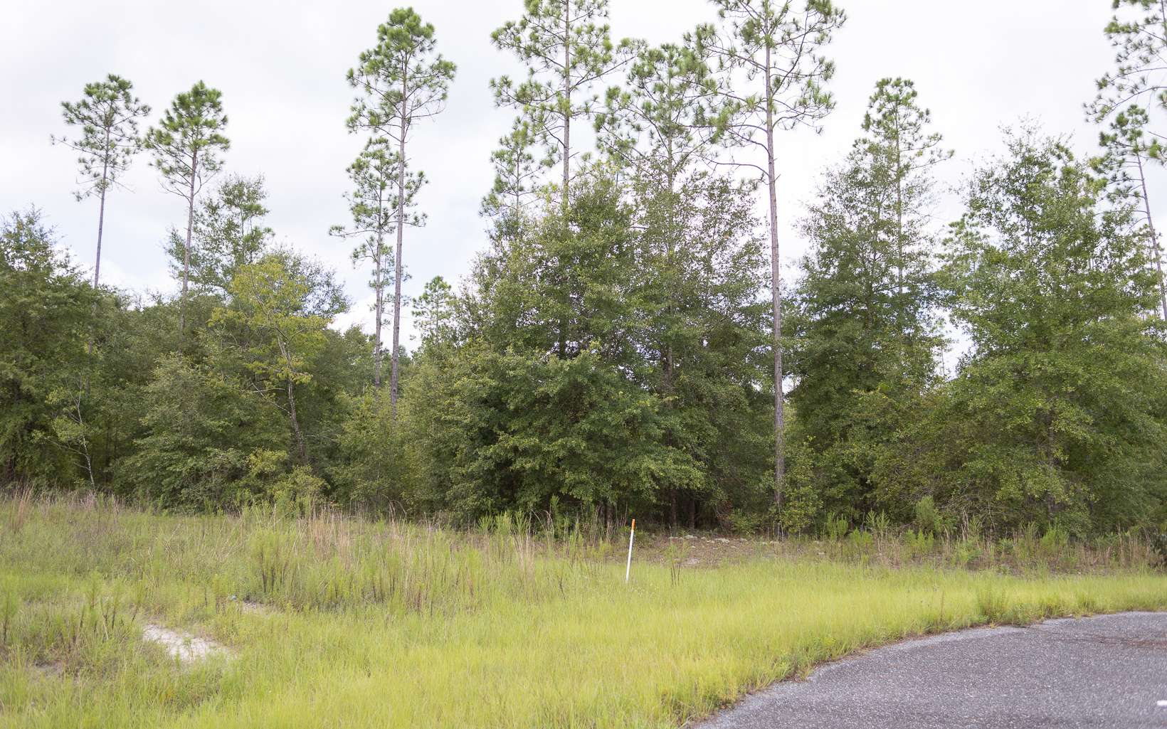 Live Oak Real Estate 000 213th Court Live Oak ,FL available for 45,000