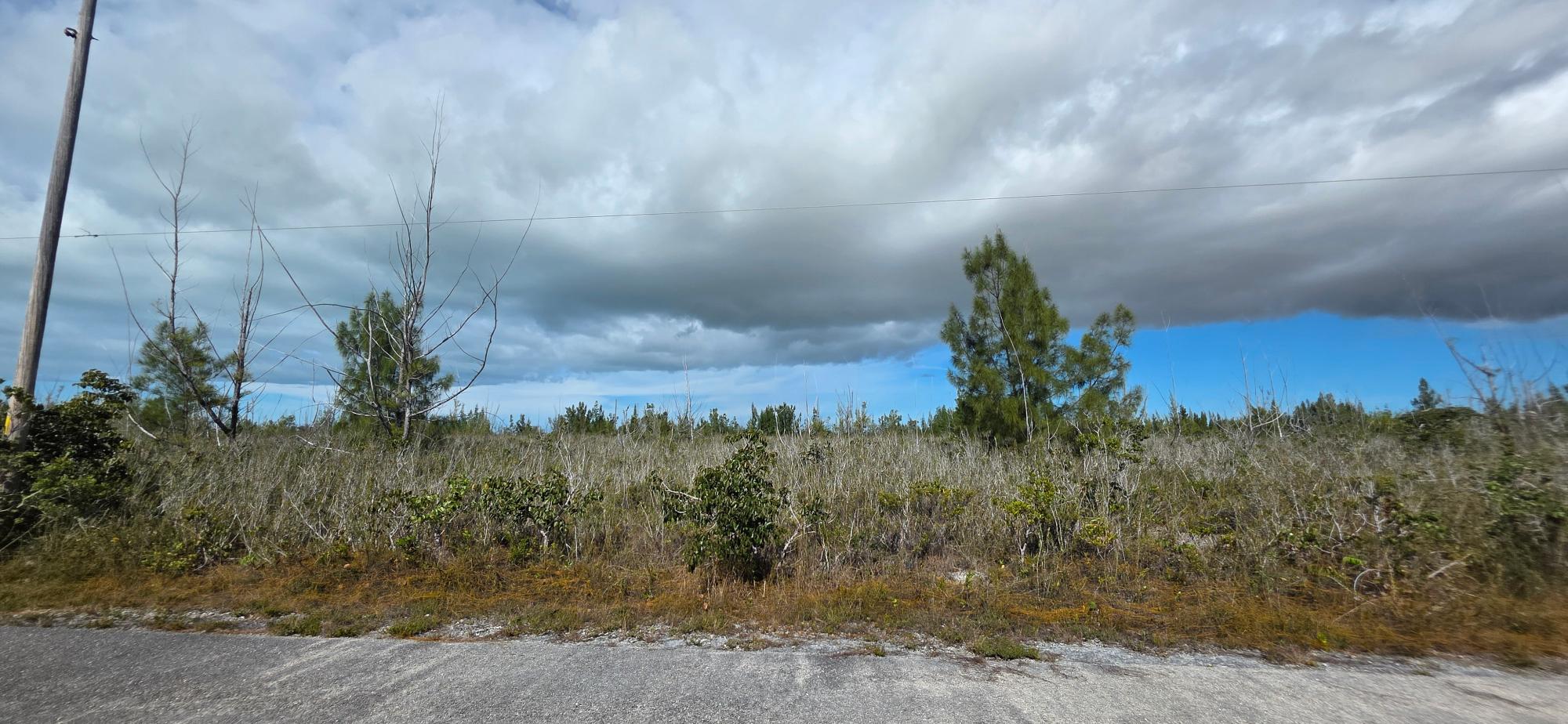 Featured Properties