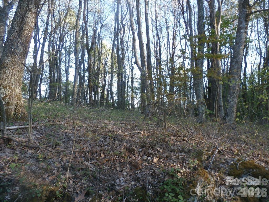 288 Firetower Road