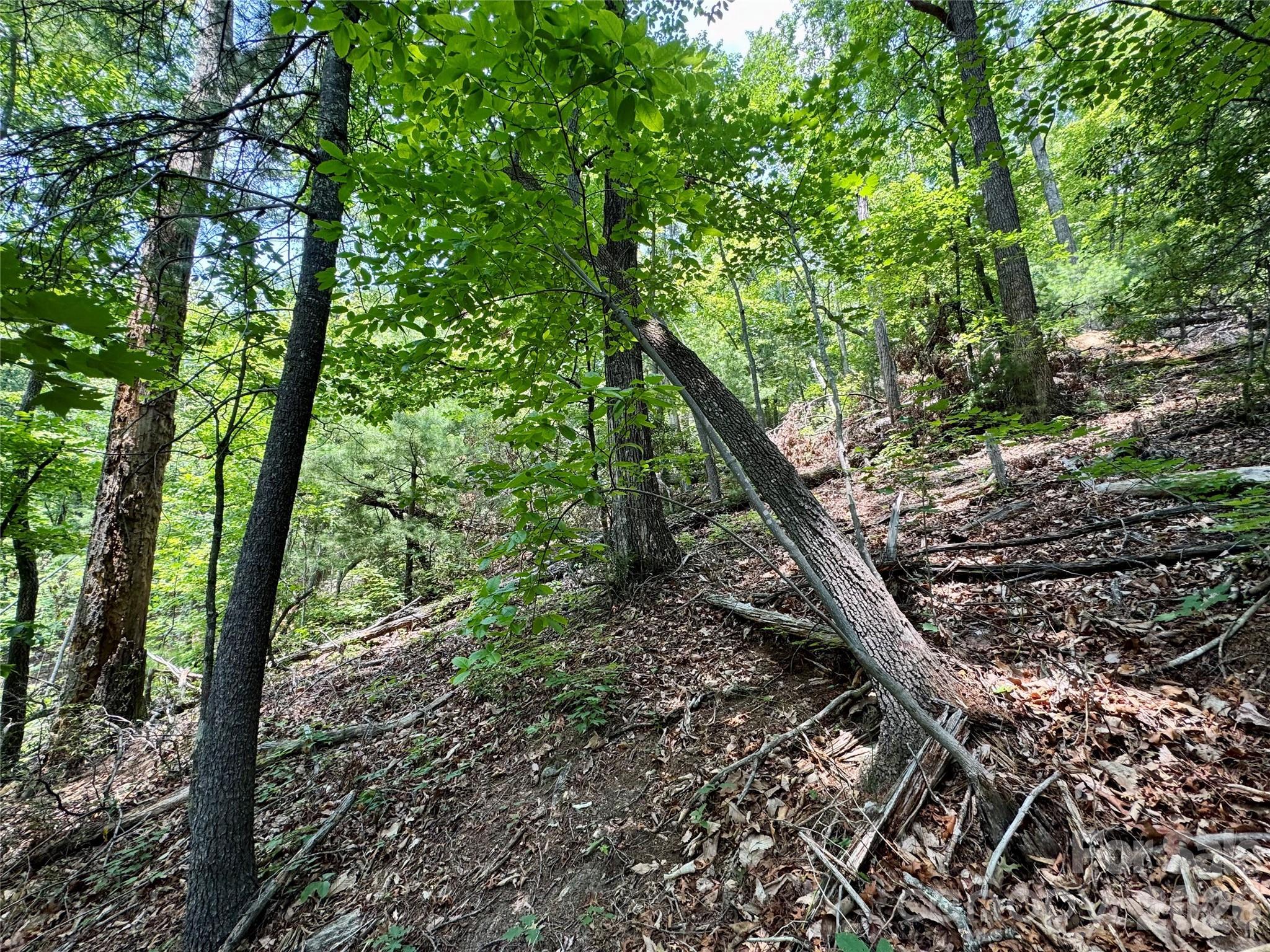 35+ acres - Lot 23 Bear Track Lane 23
