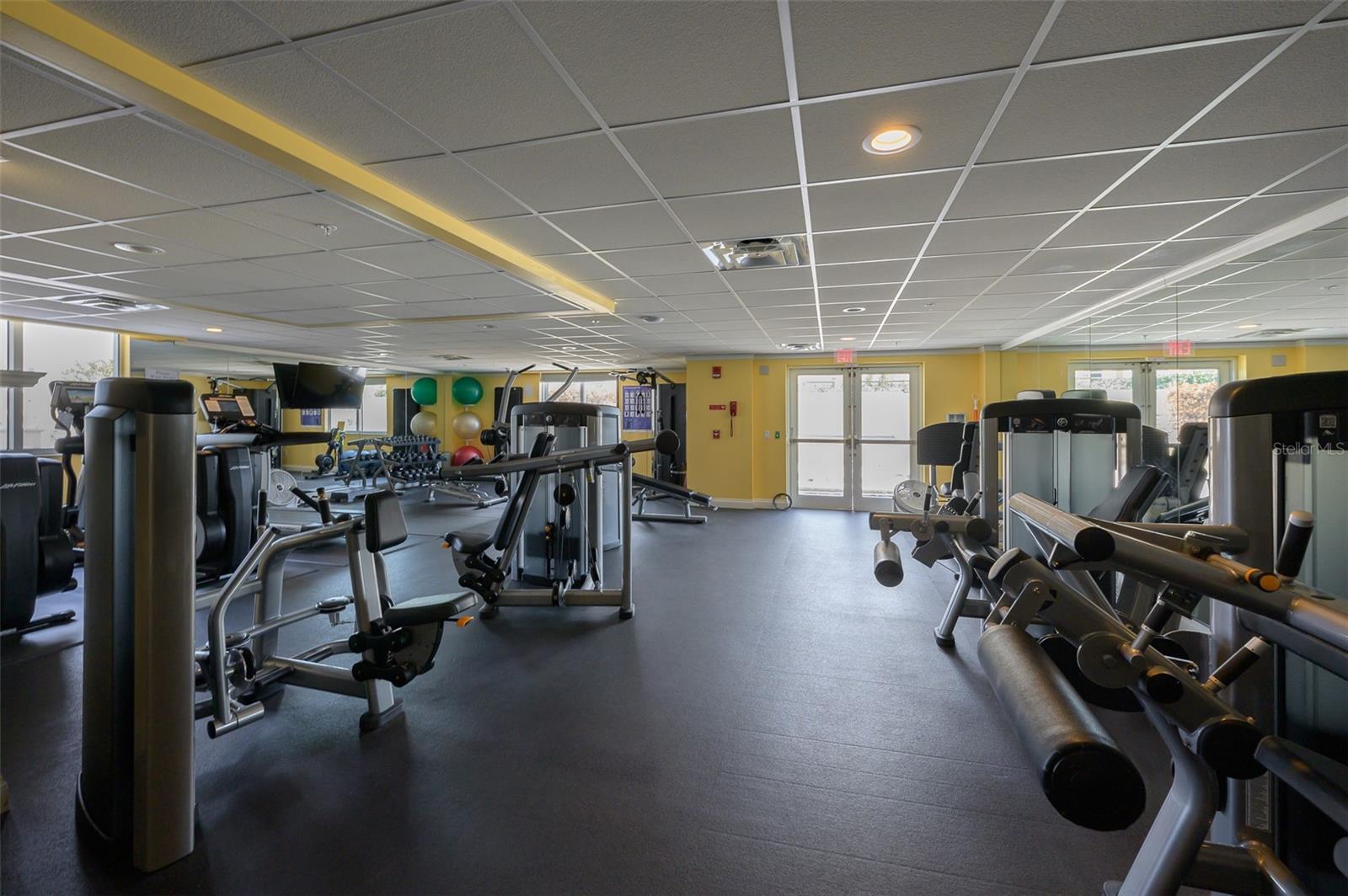 800 N Tamiami Trail 815