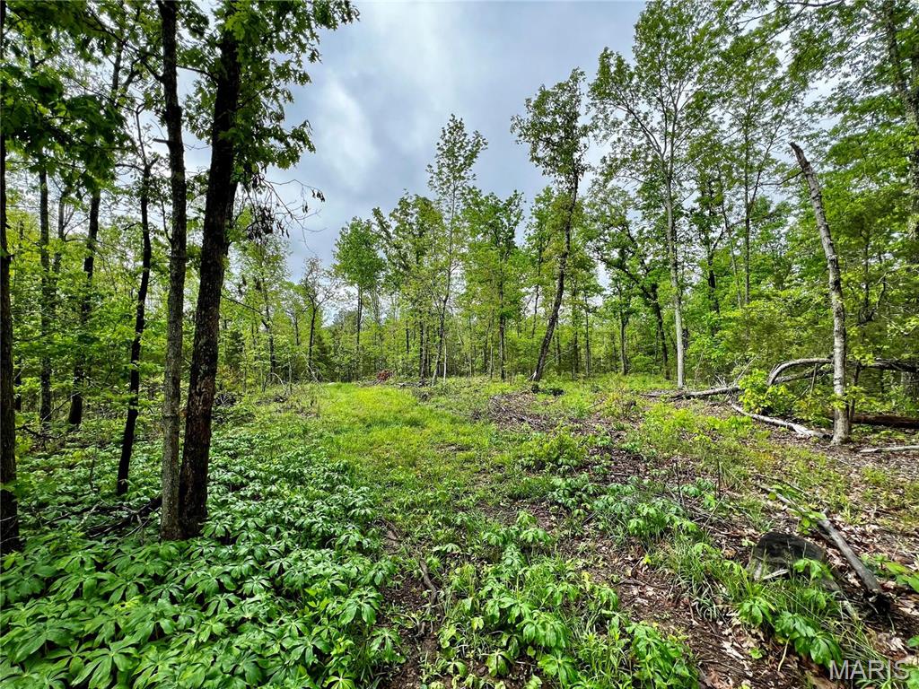 382 Furnace Creek Road