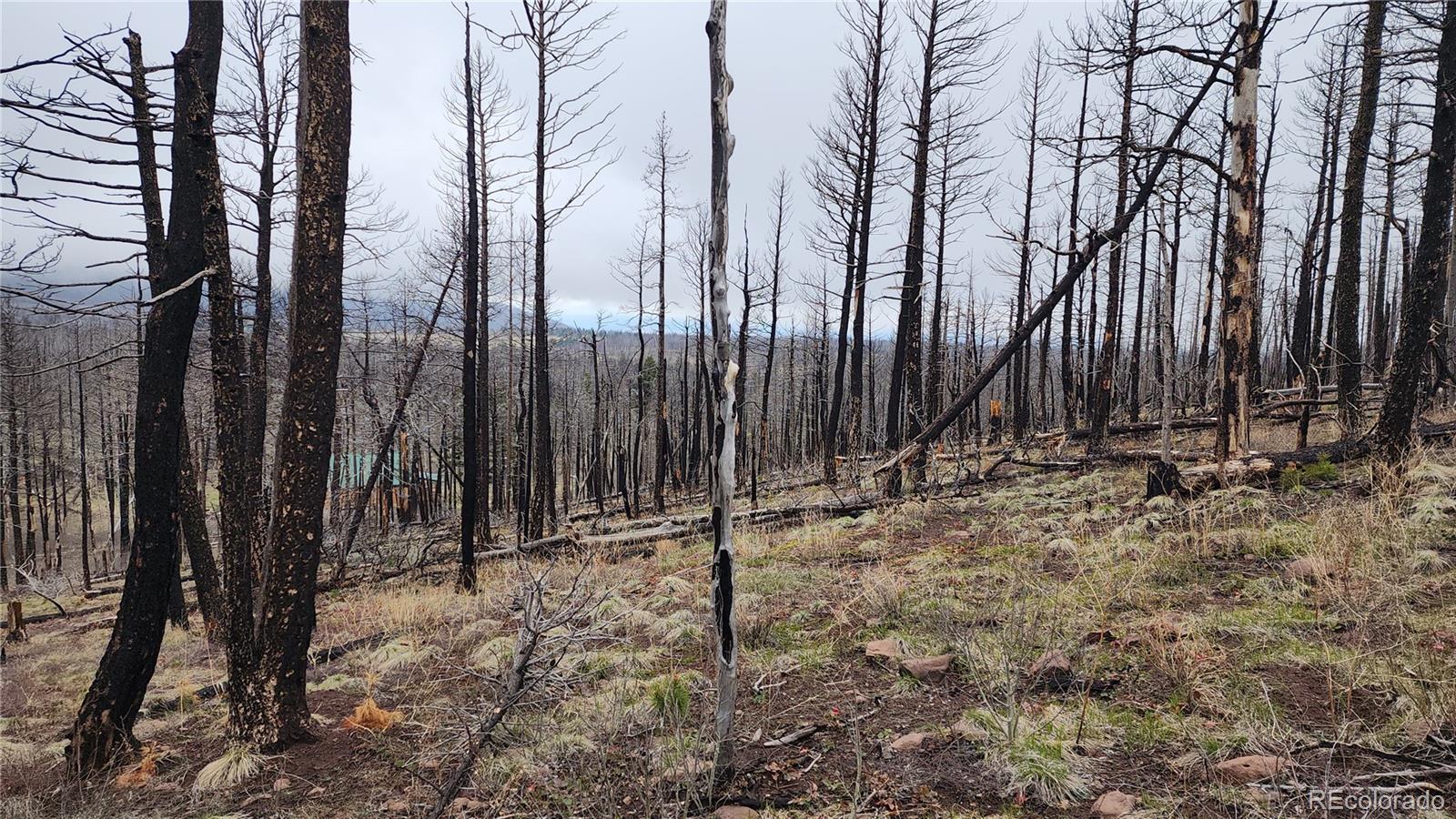Lot 1735 Mara Loop