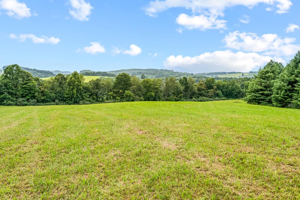 Beautiful unrestricted acreage only 5 miles to downtown Floyd in the heart of the Blue Ridge Mountains. Gently rolling hay fields and mature forest are your canvas to create your private mountain estate, horse or cattle farm, hunting paradise or family compound, the possibilities are many. This property boasts 2 creeks, beautifully maintained pasture that has been used for hay, mature hardwoods and conifers, long range mountain views and plenty of privacy. Located just 7 minutes to downtown Floyd and the Blue Ridge Parkway, this property is perfectly situated to enjoy all of the wonderful events and adventures that Floyd has to offer. Shown by appointment only.