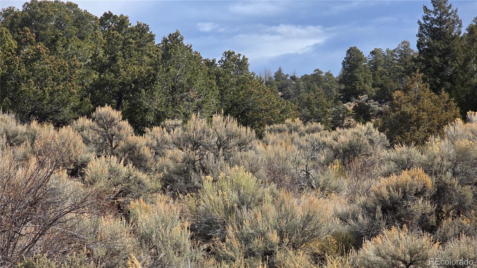 Lot 1628 Hidalgo Road