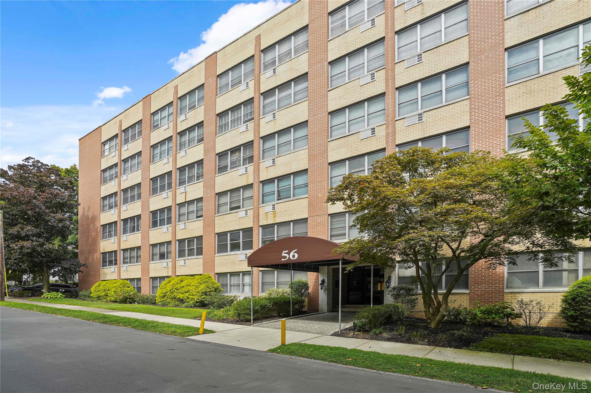 56 Doyer Avenue 6F