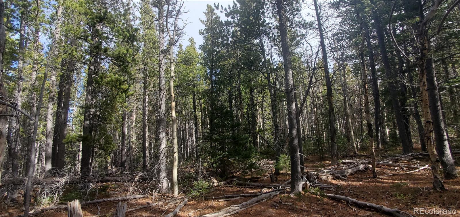 Lot 3246 Zipf Lane