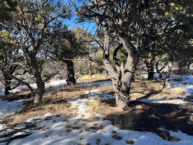 Lot 7898 Tiernan Road