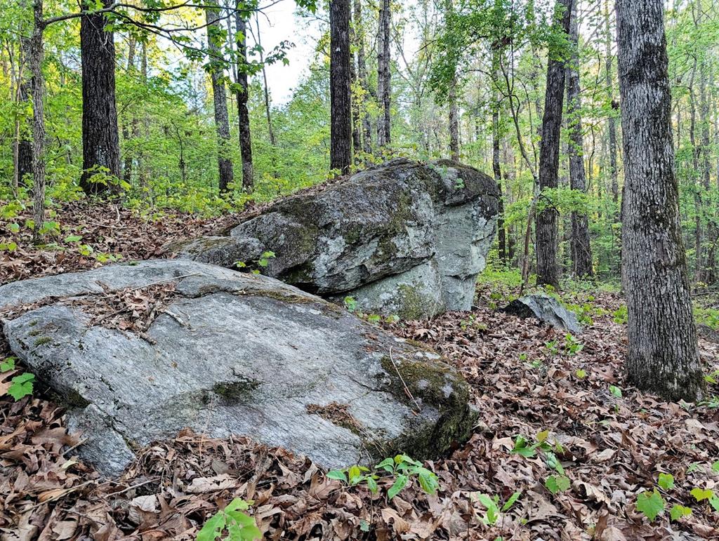 This four-acre wooded lot offers significant mountain charm and includes a small cleared homesite. The property is well-prepared for construction, featuring an installed driveway and culvert, and it passed the required perc test for a septic permit.  The land is characterized by stunning stone outcroppings, hardwoods, and native wildflowers, making it an ideal location for a cabin.