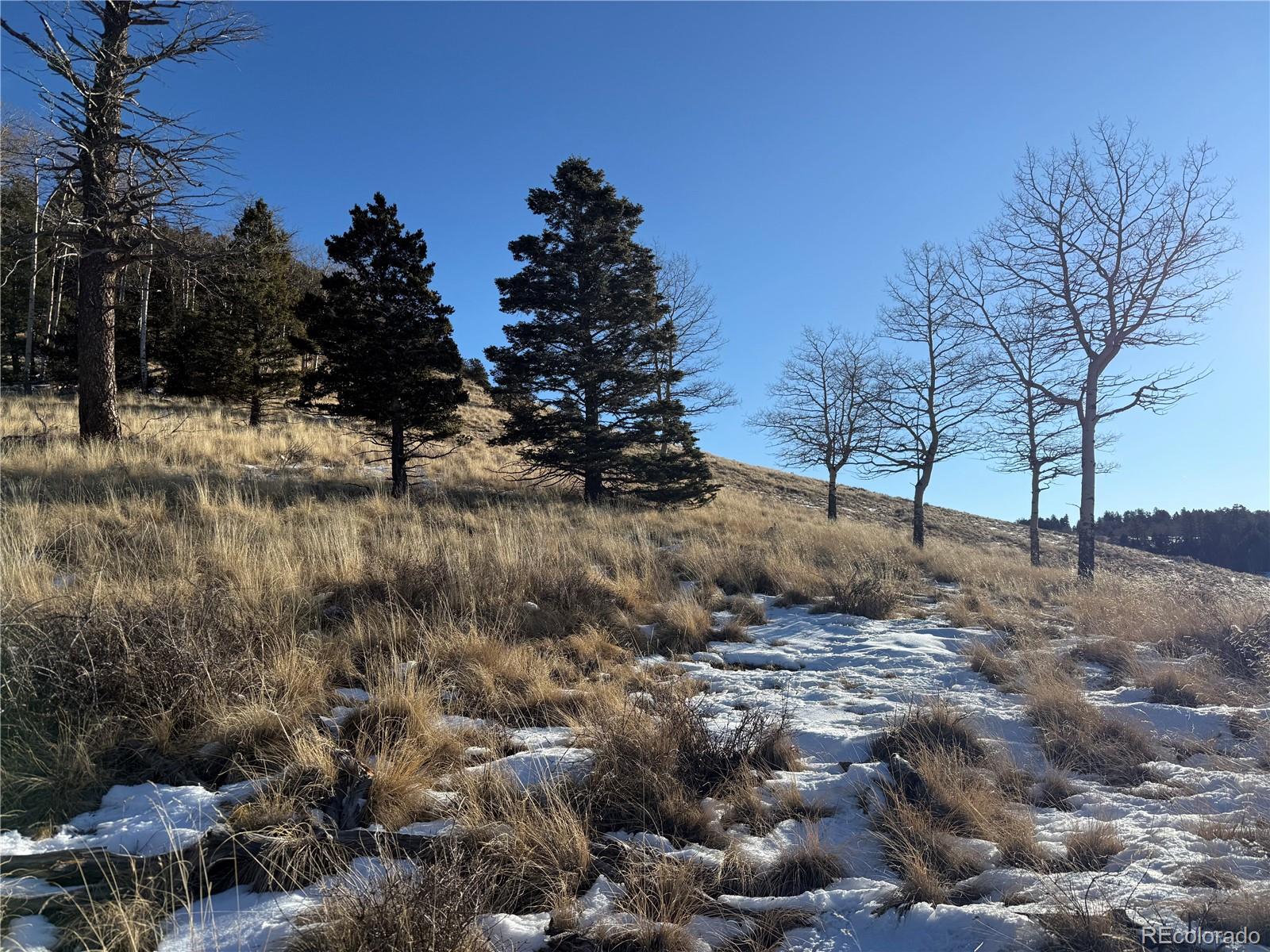 Lot 499 Collinson Drive