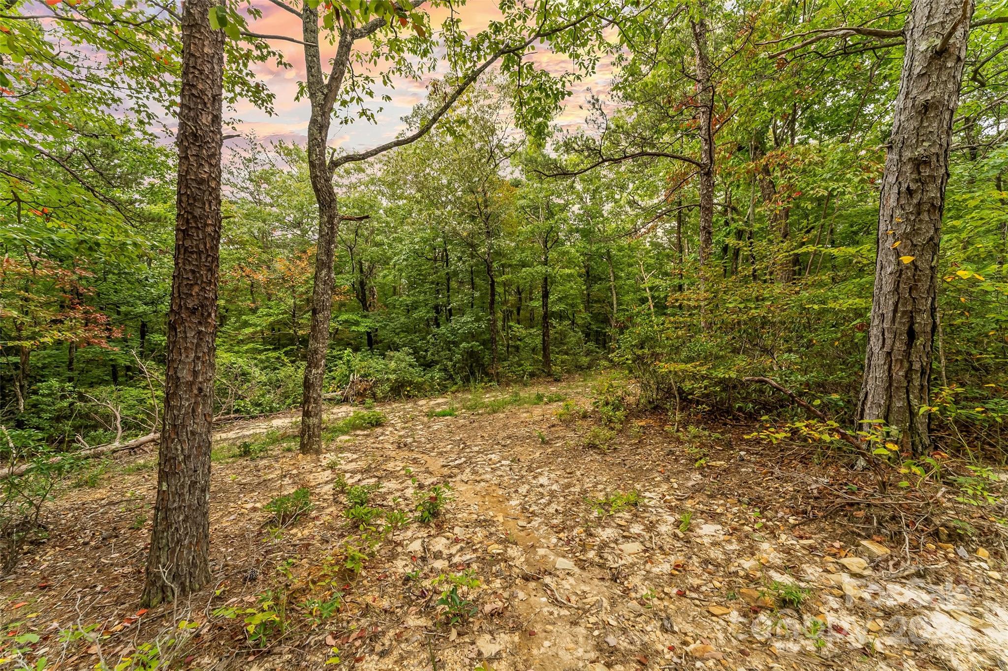 6056 Wilderness Edge Trail