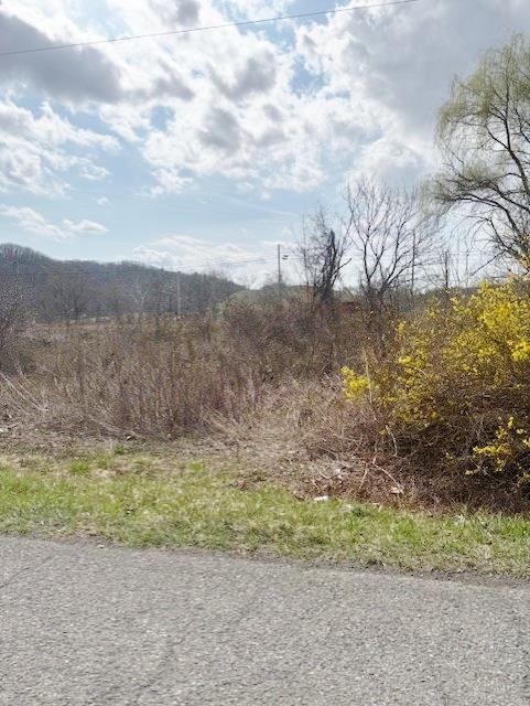 0.0040 acre lot with 50 ft. of road frontage. Level, needs cleanup/mow.