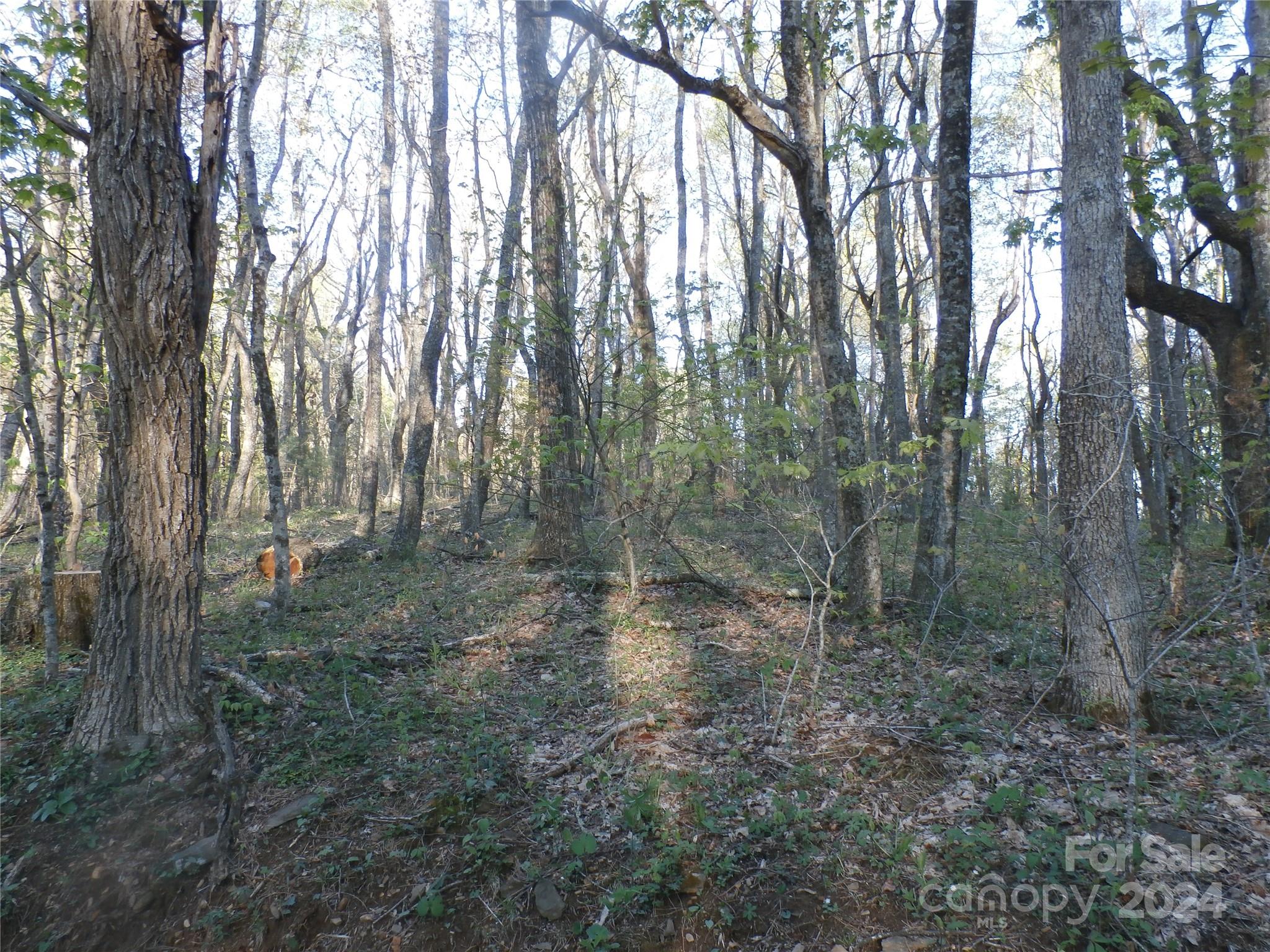 288 Firetower Road