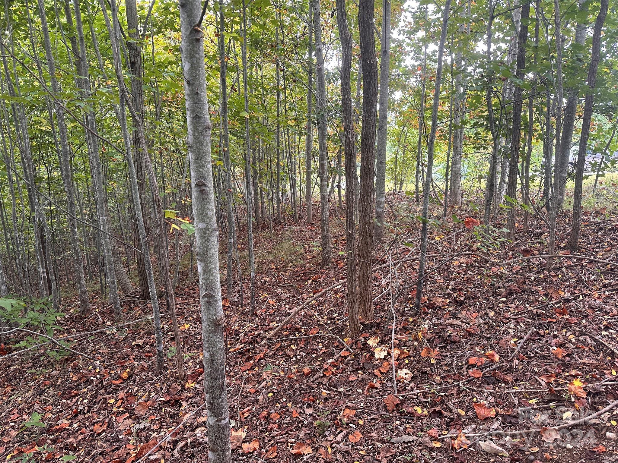 311 Scenic Vista Drive 254