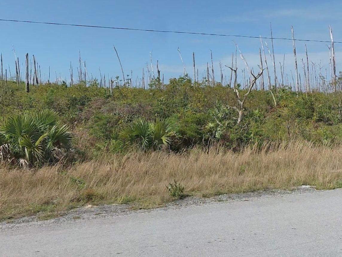 Blackwood, North Abaco