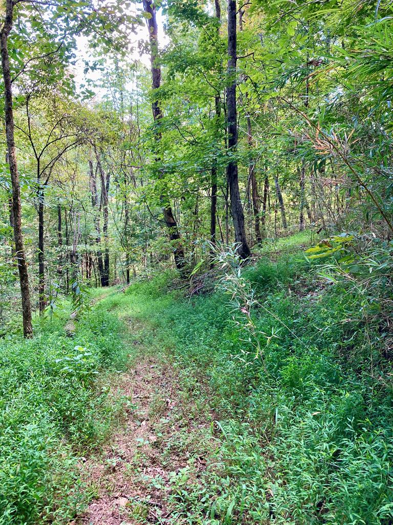 392 Possum Hollow Rd