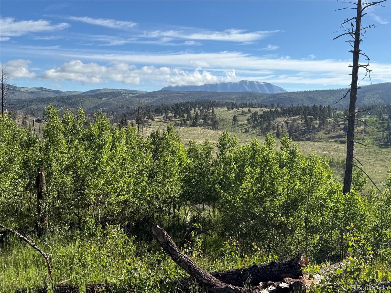 Lot 775 Forbes Park Road