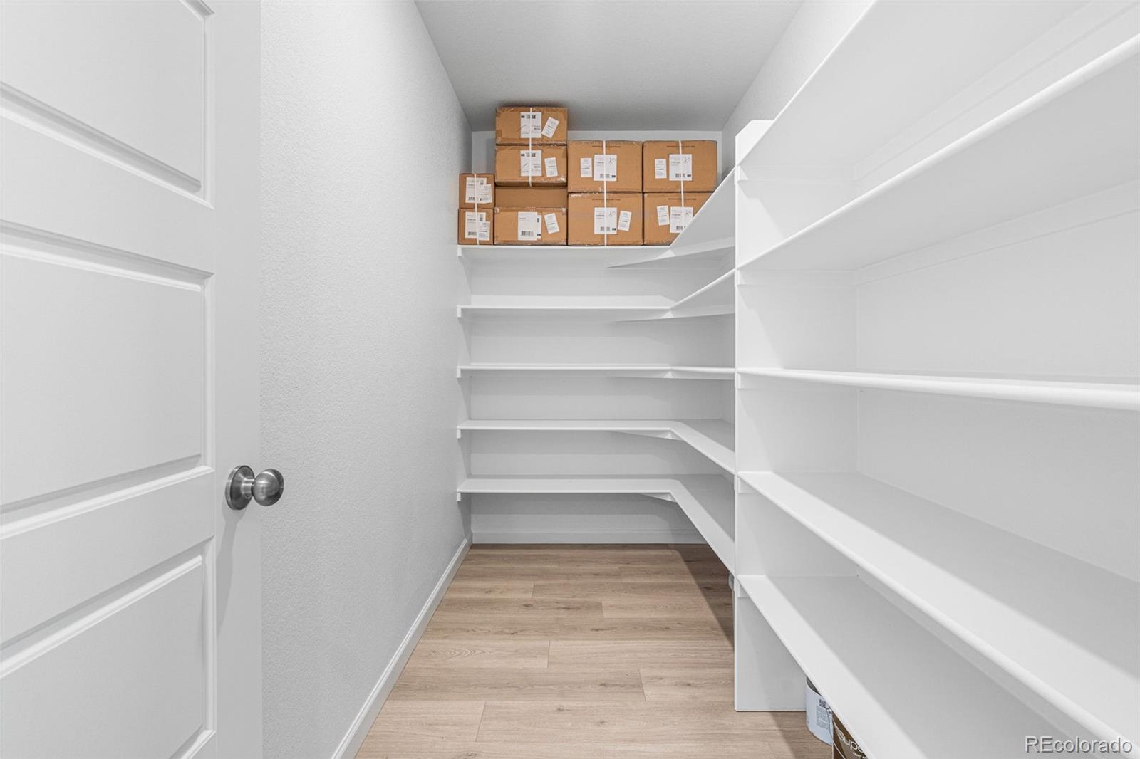 8852 Whiteclover Street