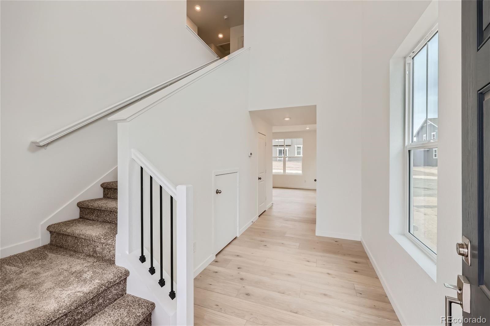 1183 Corkbark Drive