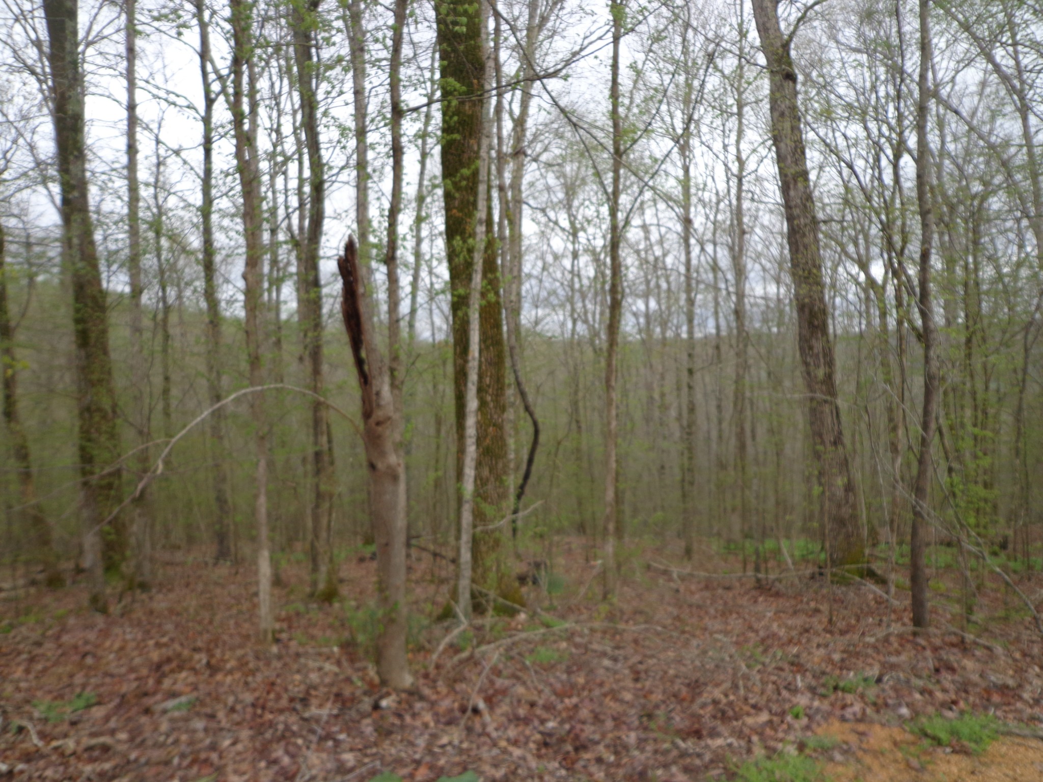 1398 Gilmer Bridge Rd