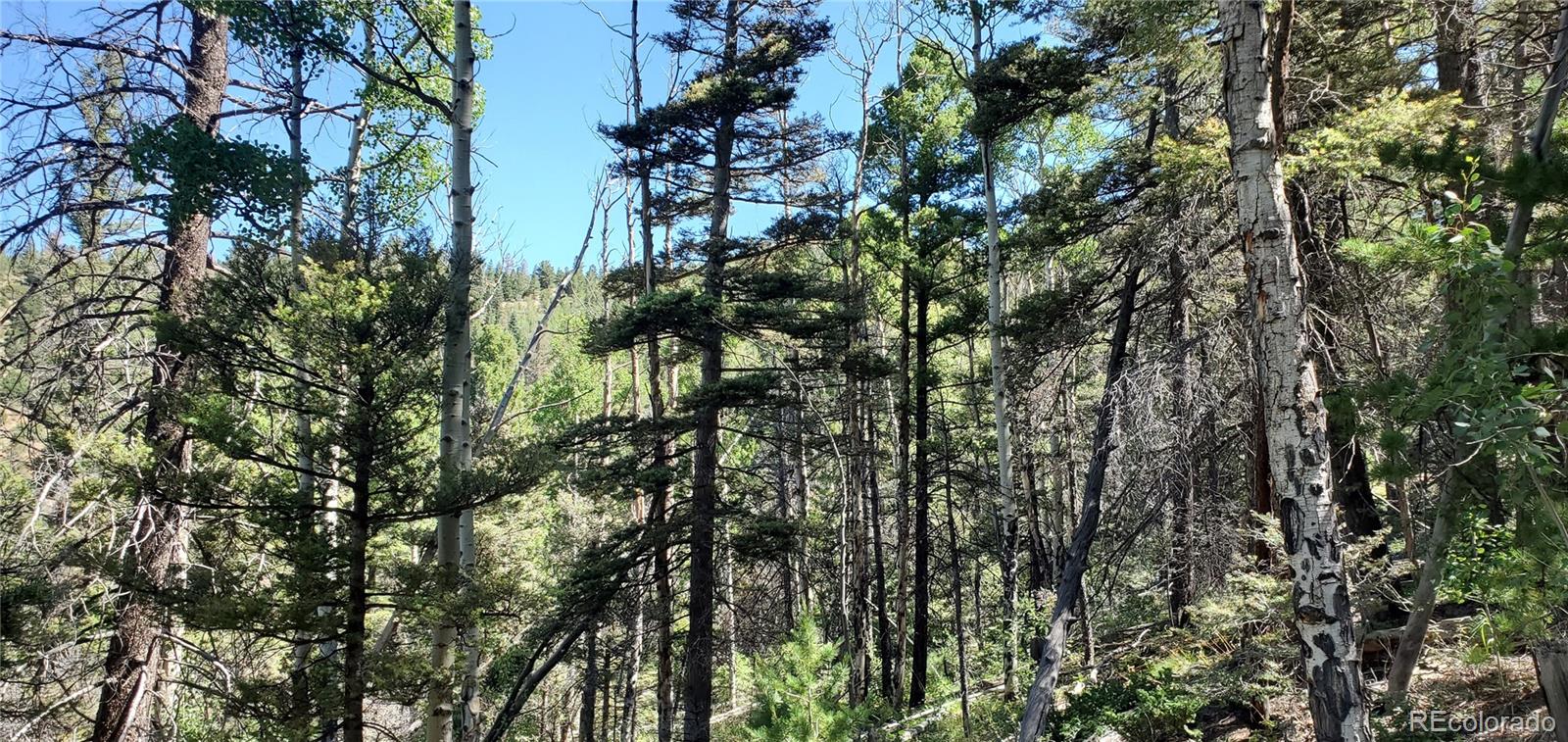 Lot 5610 Dawson Road