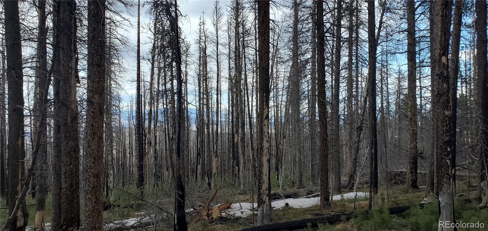 Lot 2738 Newman Place