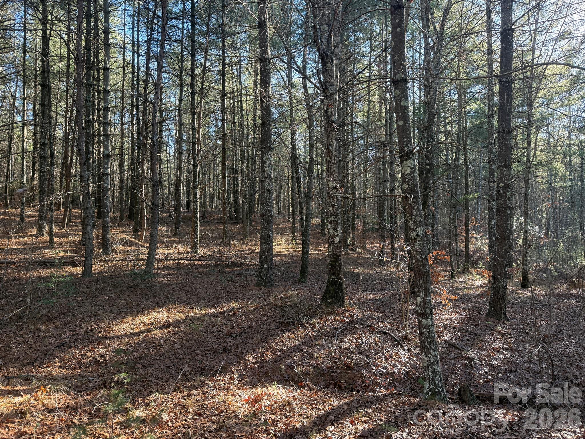 1291 Scenic Vista Drive 288