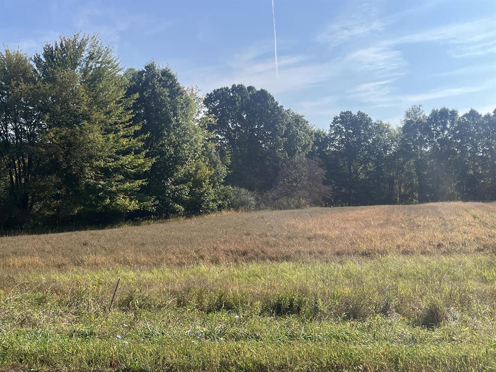 Vacant land wooded tillable corner lot with lots of road frontage.  Great hunting spot or building it has high land and some low land something for everyone.  Located at the corner of Howard and Williamston road.  there is a possibility of more land to buy. the farmer has the right to harvest presently growing crops. Current use is Agricultural,Hunting,Recreational.