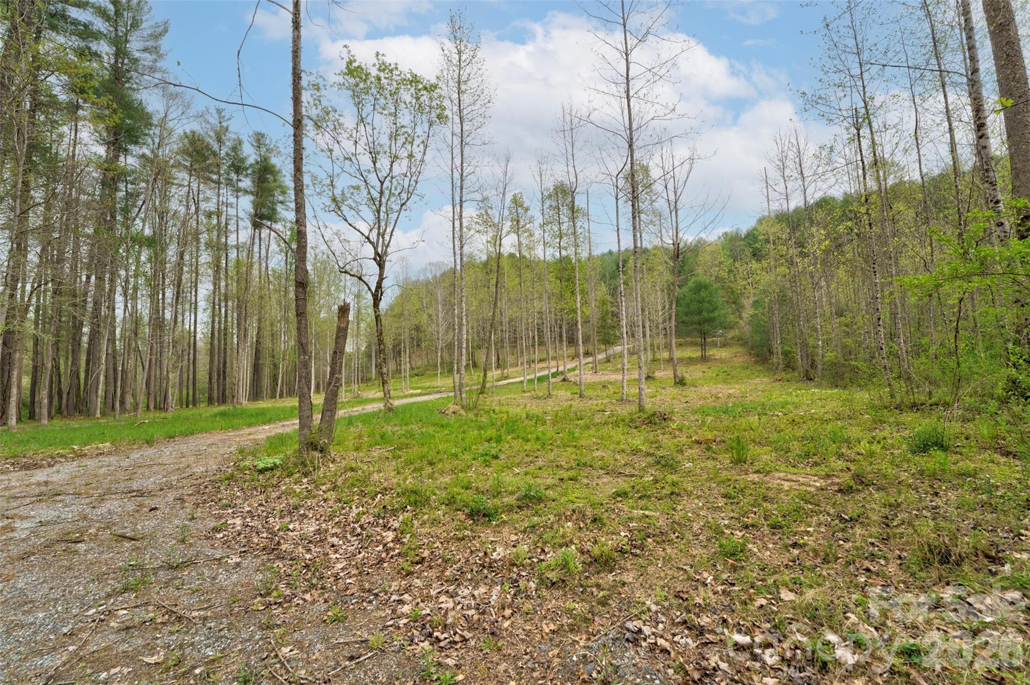 5915 River Hollow Trail 758