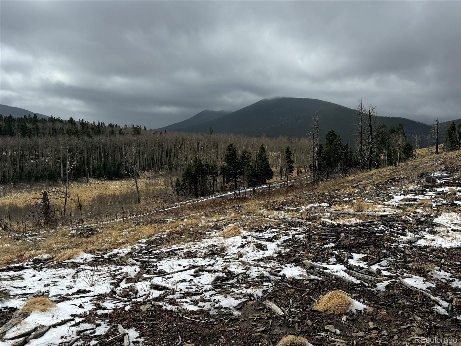 Lot 2415 Petito Drive