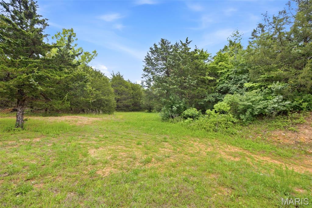 10330 Bottom Diggins Road