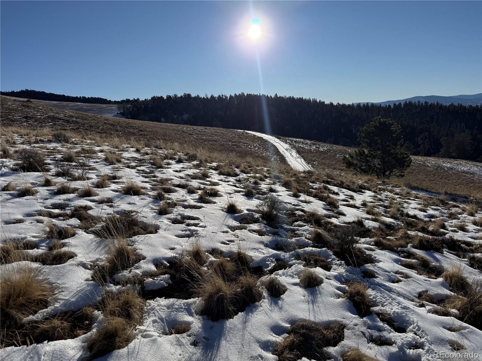 Lot 499 Collinson Drive