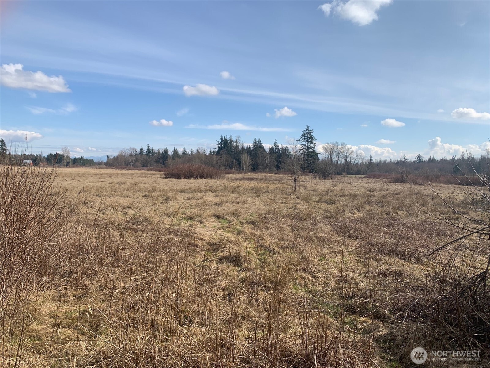 Rare Opportunity – 53.72 Acres on the Border! This expansive parcel offers exceptional potential with easy access from the north end of Markworth Road. The property includes a 1,144 sq ft, 3-bedroom, 1-bath home in need of significant repair or a full rebuild—ideal for those looking to renovate or start fresh with a custom build. Overgrown blackberry bushes currently limit access to existing structures, but the true value lies in the land itself. With ample space and promising soil (see soil map and water right claim in attachments), this could be the perfect location for a working farm, row crops, or your agricultural vision. Don’t miss this chance to own a substantial piece of land with endless potential.