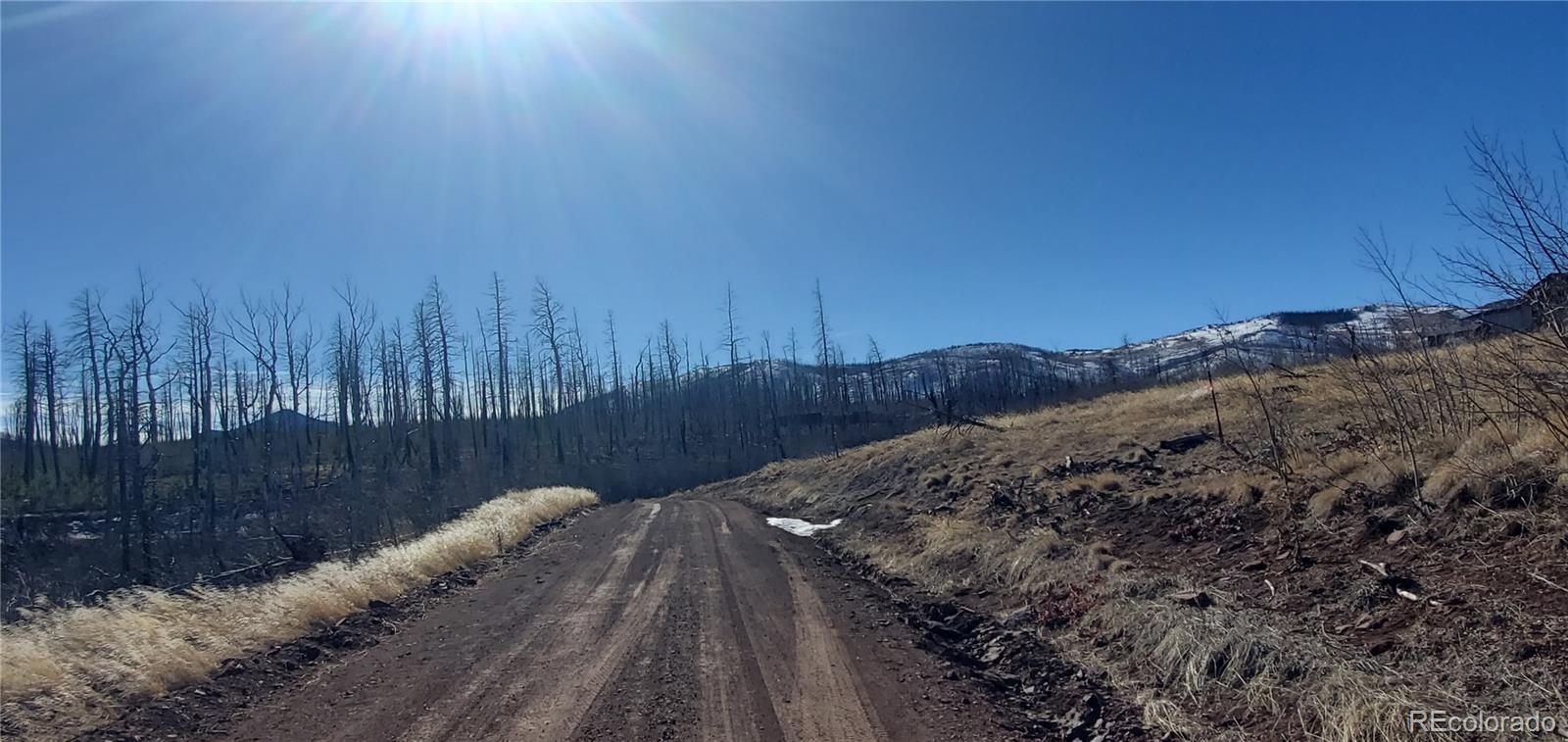 Lot 1566 Cary Lane