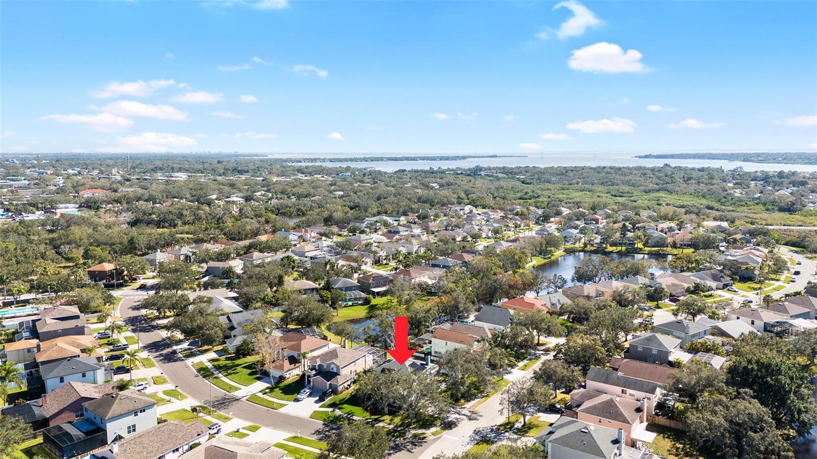 1600 Gray Bark Drive