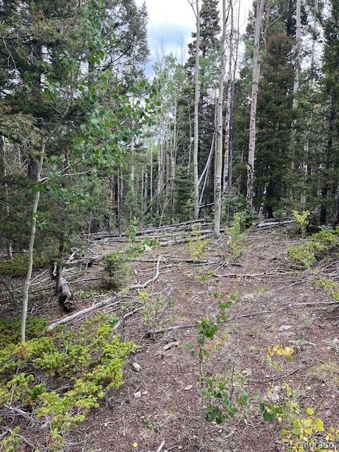 Lot 6184 Ryland Road