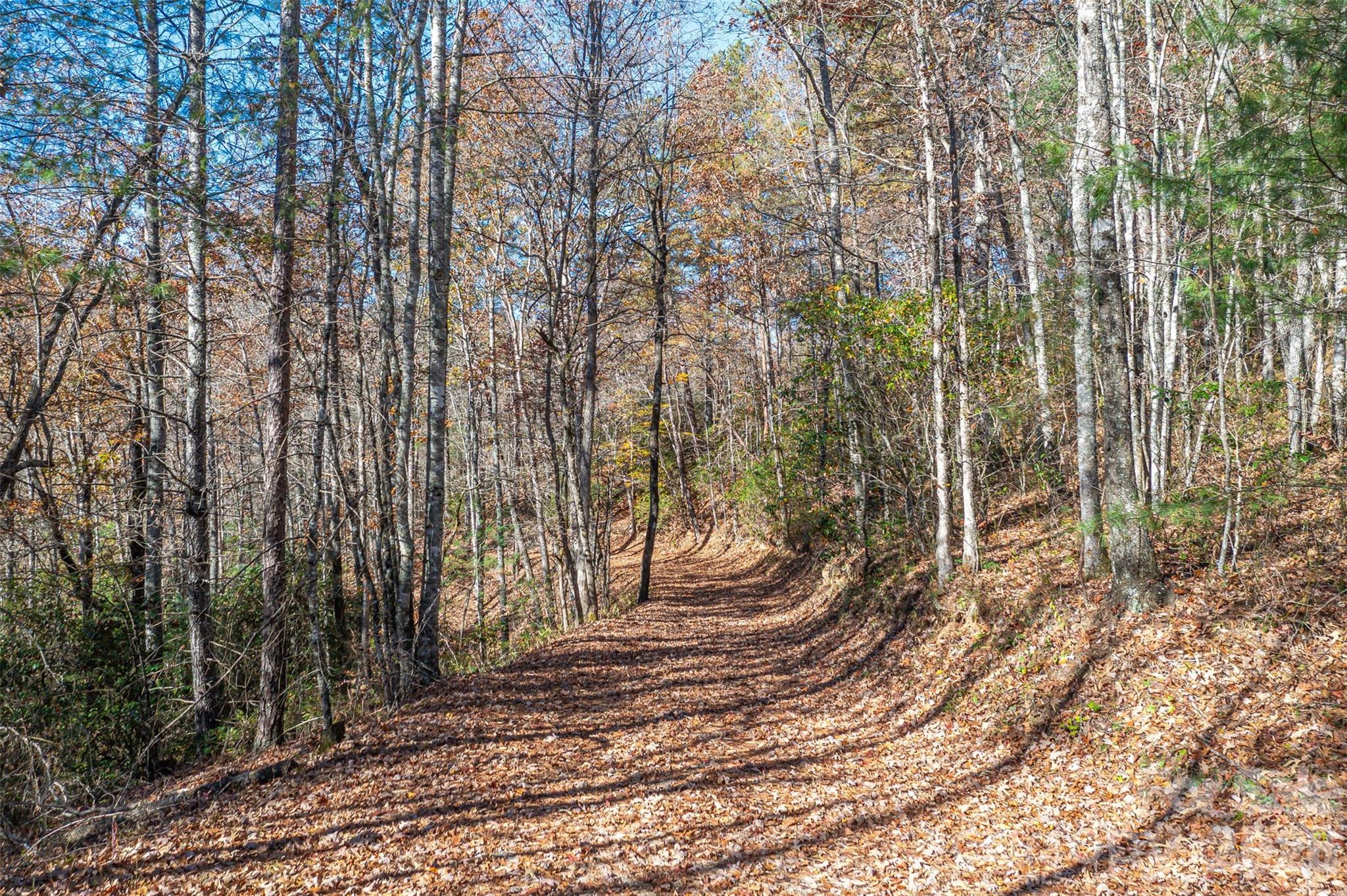 000 Needmore Road