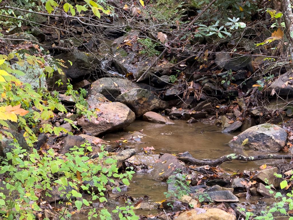 Discover the charm of this stunning 6.022-acre property nestled at the entrance of the Hidden Valley Homeowners Association. This gem consists of three distinct lots, each boasting its own unique features and an impressive array of mature trees and lush vegetation. Imagine the soothing sounds of the rocky creek flowing through one of the lots while sitting on your custom front porch, creating an enchanting atmosphere that invites relaxation and tranquility. As a member of this vibrant community, you'll enjoy access to shared amenities, including a large pond that resembles a serene lake and a covered picnic area perfect for hosting family birthday celebrations or simply unwinding by the water. Don't miss out on this rare opportunity to own a slice of paradise—where nature meets community, and your dream lifestyle awaits!