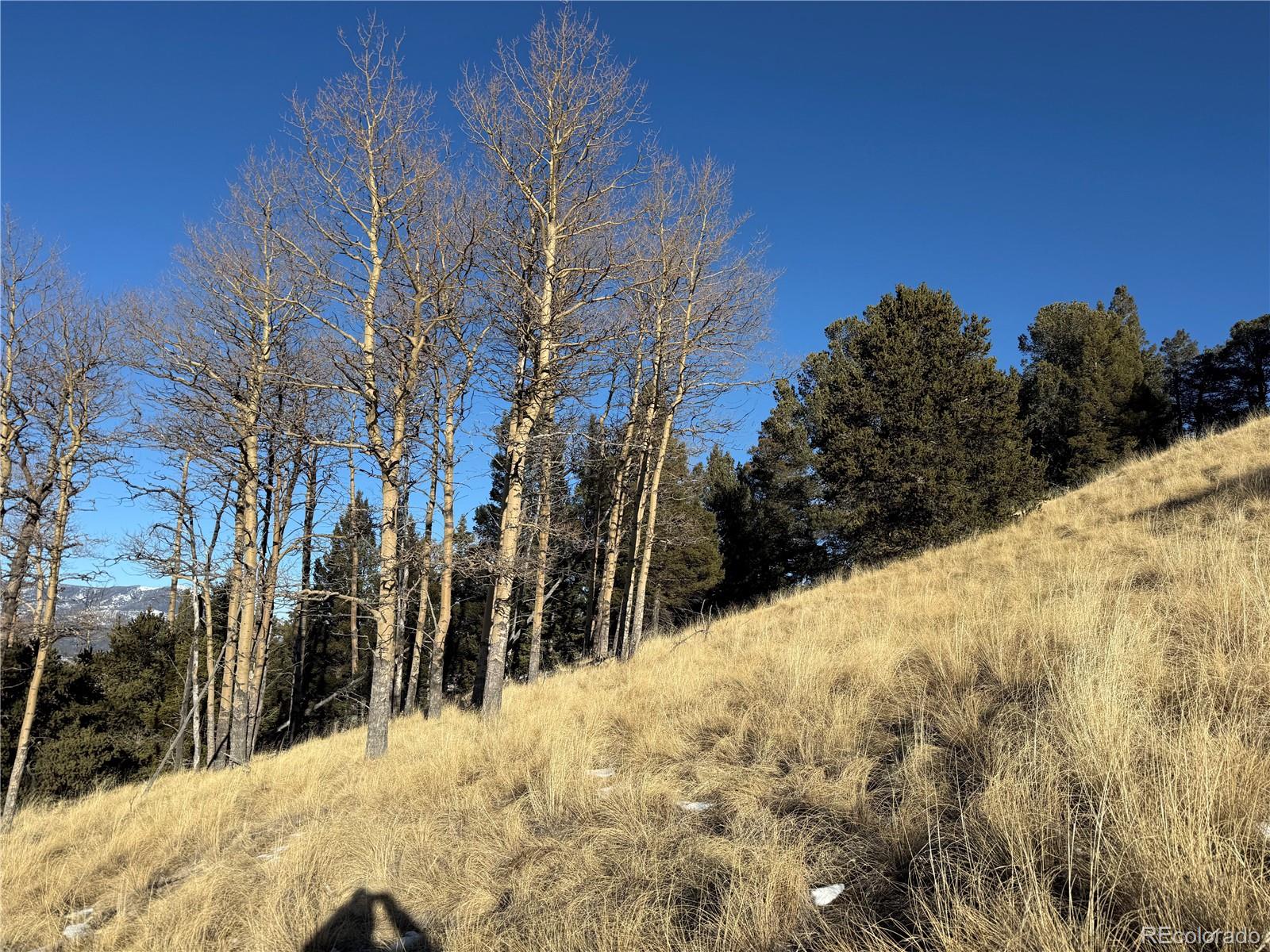 Lot 499 Collinson Drive